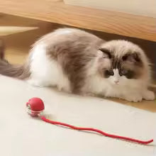 Cat Interactive Ball Toy Automatic Rolling Ball Tail Rechargeable Smart Pet Electric Toy Dog Cat Training Imitate Mouse