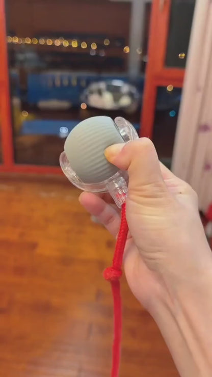 Cat Interactive Ball Toy Automatic Rolling Ball Tail Rechargeable Smart Pet Electric Toy Dog Cat Training Imitate Mouse